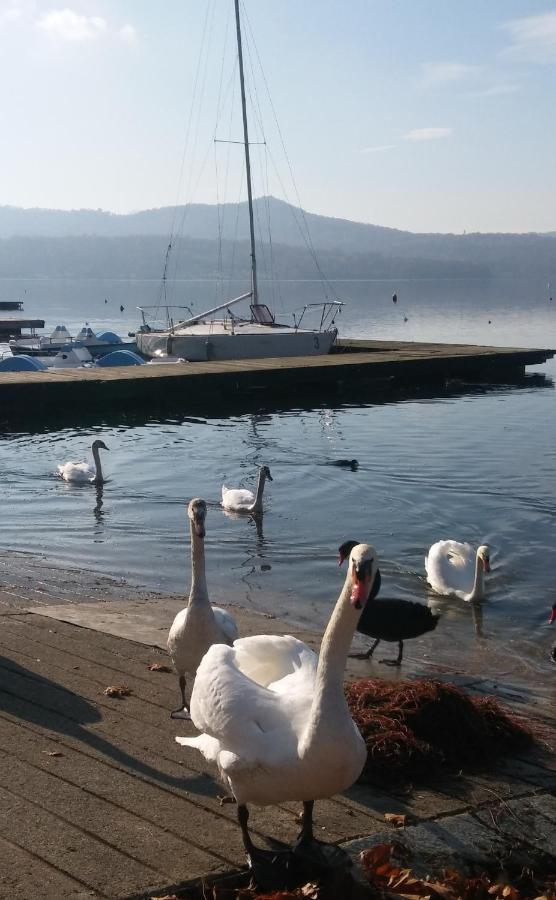 Appartamento Doppi Bagni Sei Posti Letto Viverone Dış mekan fotoğraf