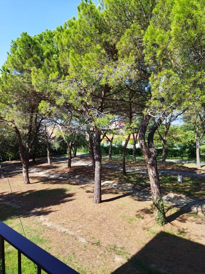 Appartamento Doppi Bagni Sei Posti Letto Viverone Dış mekan fotoğraf