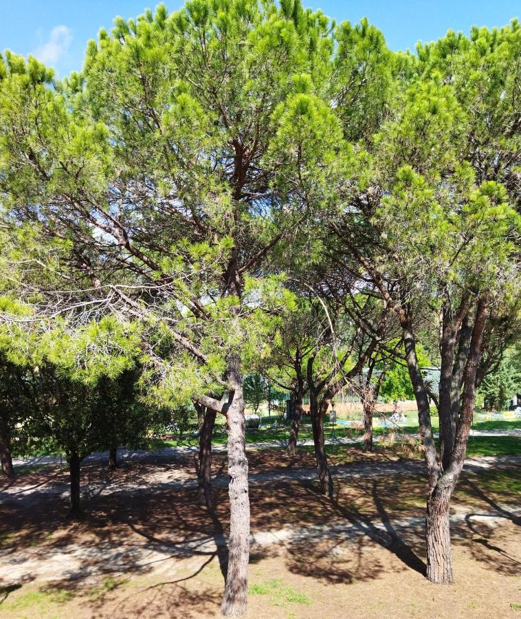 Appartamento Doppi Bagni Sei Posti Letto Viverone Dış mekan fotoğraf